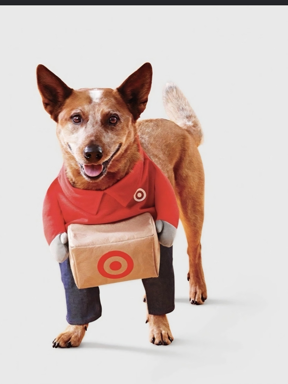 Target Employee With Package Dog Pet Halloween Costume Size XL